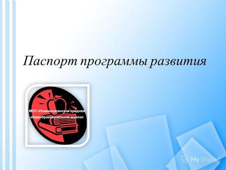 Паспорт программы развития МОУ «Новоюласинская средняя общеобразовательная школа»