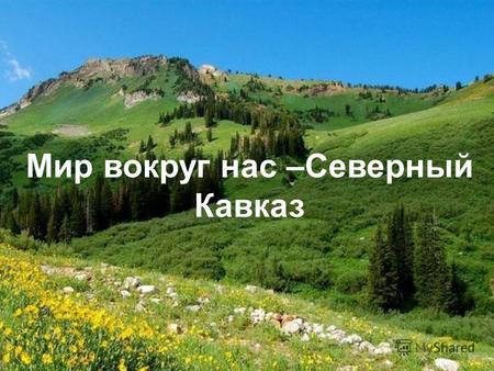 Мир вокруг нас –Северный Кавказ Творческая работа учащегося 11 класса «а» МКОУ «СОШ 4» города Черкесска Соколова Артёма.