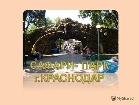 В мае 2006 года в живописном уголке города Краснодара в парке Солнечный остров открыл свои двери зоопарк Сафари-парк. Все началось с того, что нынешнему.