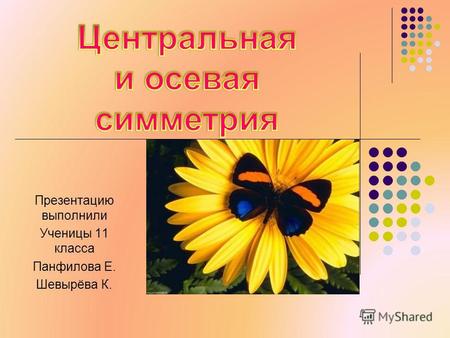 Презентацию выполнили Ученицы 11 класса Панфилова Е. Шевырёва К.