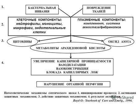 Сокращённый отчёт о первых опытах применения Алтеко LPS-адсорбции у больных с сепсисом В России (г.Москва) ноябрь 2006 – март 2007.