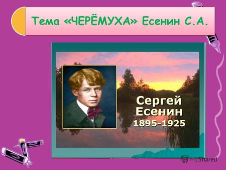 Тема «ЧЕРЁМУХА» Есенин С.А.. Поэт родился в крестьянской семье в селе Константиново, Рязанской губернии. Его мама была безграмотной женщиной. С детских.