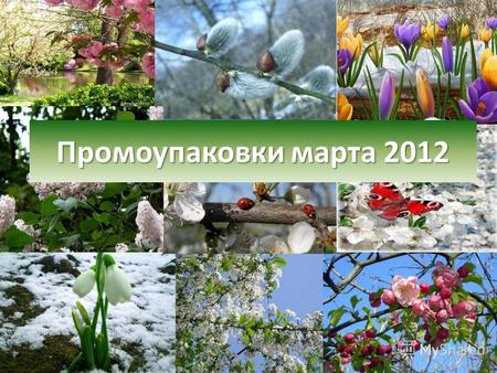 Впереди долгие месяцы зимы... Промоупаковки марта 2012.