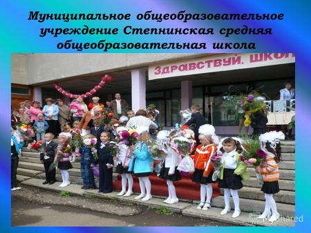 Муниципальное общеобразовательное учреждение Степнинская средняя общеобразовательная школа.