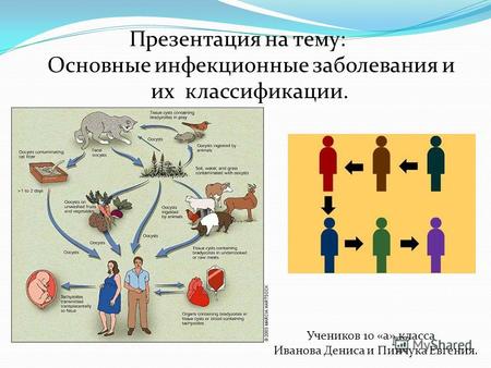 Основные инфекционные заболевания и их классификации. Учеников 10 «а» класса Иванова Дениса и Пинчука Евгения.