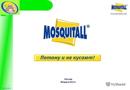 Www.komarov.net 20.12.2013 1 Москва Февраль 2011г.