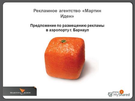 Рекламное агентство «Мартин Иден» Предложение по размещению рекламы в аэропорту г. Барнаул вперед >