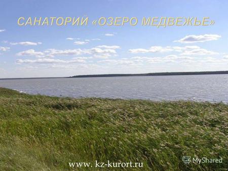 Www. kz-kurort.ru. 641660, Курганская область, Петуховский район, пос. курорт «Озеро Медвежье» Санаторий «Озеро Медвежье» расположен на берегу прекрасного.