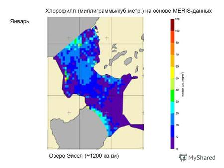 Хлорофилл (миллиграммы/куб.метр.) на основе MERIS-данных Январь Озеро Эйсел ( 1200 кв.км)