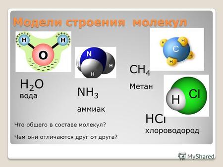 Модели строения молекул H 2 O вода NH 3 аммиак CH 4 Метан HCl хлороводород Что общего в составе молекул? Чем они отличаются друг от друга?