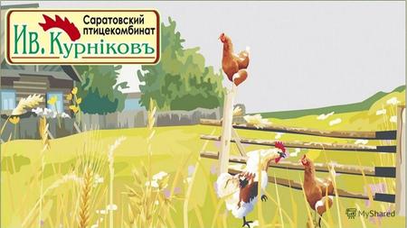 Саратовский птицекомбинат «КУРНИКОВ» ООО «Саратовский птицекомбинат «Курников» занимается переработкой мяса птицы. Предприятие располагает значительными.