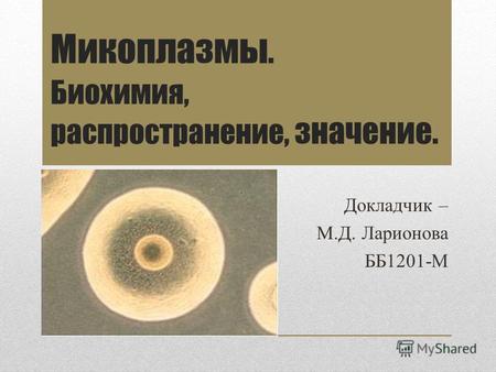 Микоплазмы. Биохимия, распространение, значение. Докладчик – М.Д. Ларионова ББ1201-М.