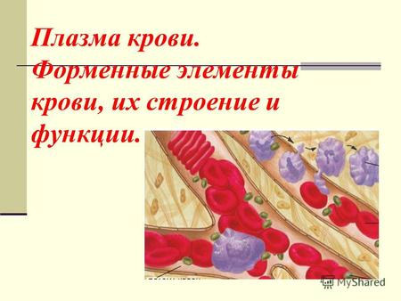 Плазма крови. Форменные элементы крови, их строение и функции.