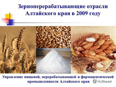 Зерноперерабатывающие отрасли Алтайского края в 2009 году Управление пищевой, перерабатывающей и фармацевтической промышленности Алтайского края.