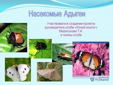 Участвовали в создании проекта руководитель клуба «Юный эколог» Меретукова Т.И. и члены клуба.