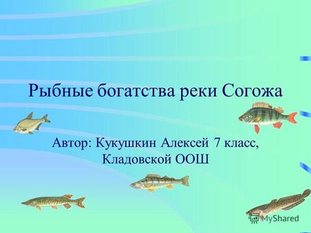 Рыбные богатства реки Согожа Автор: Кукушкин Алексей 7 класс, Кладовской ООШ.