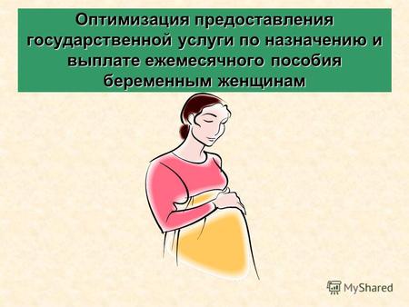 Оптимизация предоставления государственной услуги по назначению и выплате ежемесячного пособия беременным женщинам.