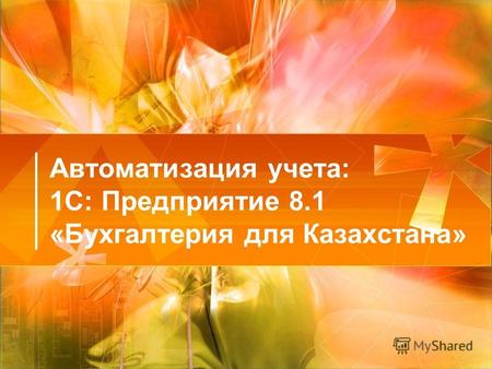 Автоматизация учета: 1С: Предприятие 8.1 «Бухгалтерия для Казахстана»