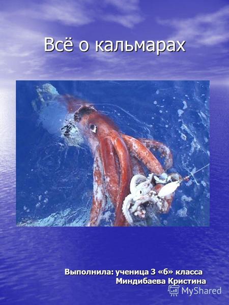 Всё о кальмарах Выполнила: ученица 3 «б» класса Миндибаева Кристина Миндибаева Кристина.