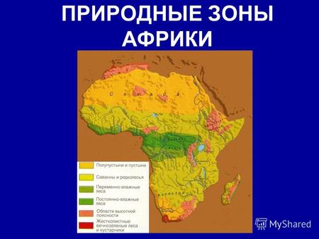 ПРИРОДНЫЕ ЗОНЫ АФРИКИ. Географическое положение КлиматПочвыПриродная зона Растительный мир Животный мир.