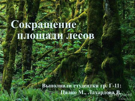 Сокращение площади лесов Выполнили студентки гр. Г -11: Цалко М., Лахардова В.