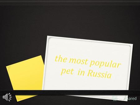 the most popular pet in Russia 