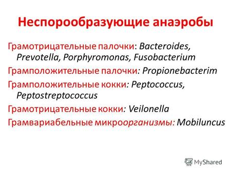 Неспорообразующие анаэробы Грамотрицательные палочки: Bacteroides, Prevotella, Porphyromonas, Fusobacterium Грамположительные палочки: Propionebacterim.