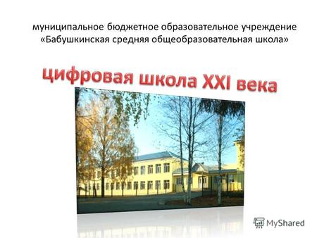 Муниципальное бюджетное образовательное учреждение «Бабушкинская средняя общеобразовательная школа»