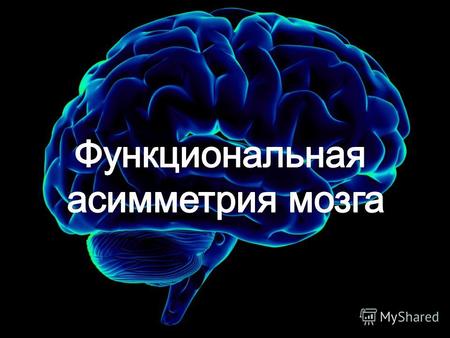 Актуальность темы. Исследование функциональной асимметрии головного мозга человека представляет собой важную общенаучную проблему, которая разрабатывается.
