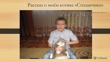 Рассказ о моём котике «Степанчике» Парамонов Денис 3 «А»