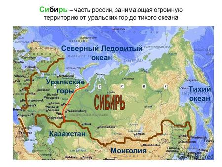 Сибирь – часть россии, занимающая огромную территорию от уральских гор до тихого океана Северный Ледовитый океан Монголия Уральские горы Тихий океан Казахстан.