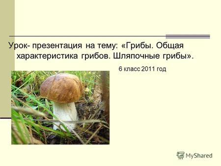 Урок- презентация на тему: «Грибы. Общая характеристика грибов. Шляпочные грибы». 6 класс 2011 год.