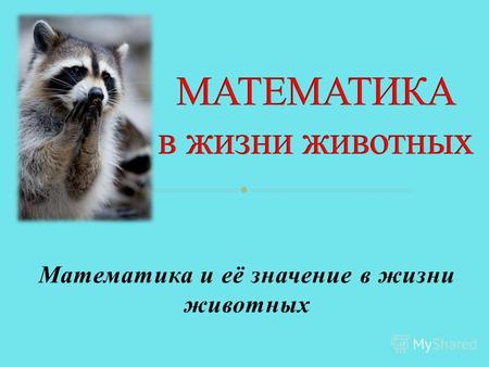 Математика и её значение в жизни животных. Тема: Математика в жизни животных. Цель: Доказать,что животные используют математику в своей повседневной жизни.