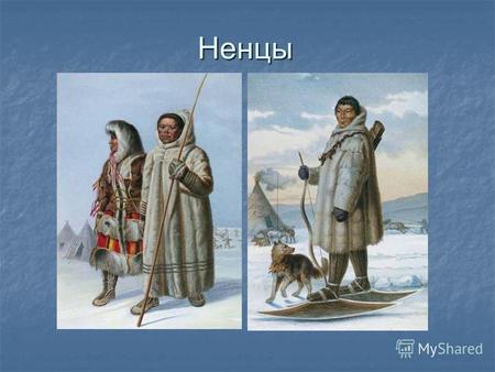 Ненцы. Не́нцы (устаревшее самоеды) народ, населяющий евразийское побережье Северного Ледовитого океана от Кольского полуострова до Таймыра. Не́нцы (устаревшее.