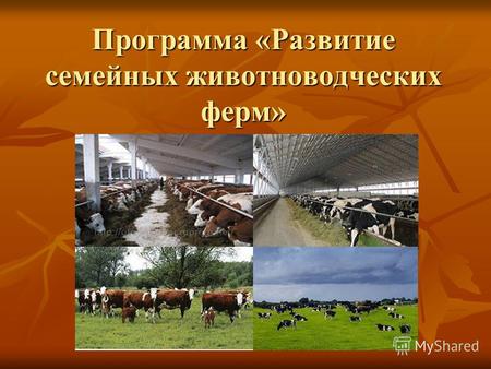 Программа «Развитие семейных животноводческих ферм»