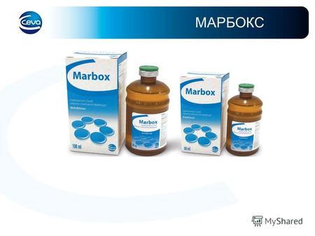 МАРБОКС Содержание Характеристика препарата Характерные черты и преимущества.