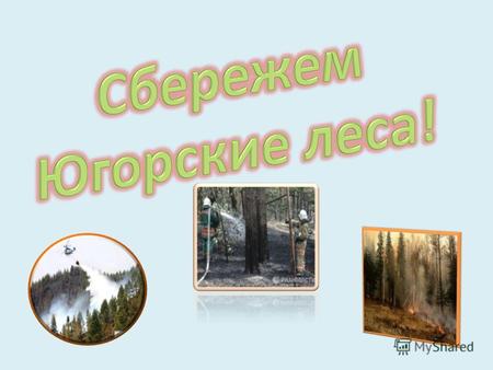 Лесной пожар – это стихийное, неуправляемое распространение огня по лесным площадям. Причины возникновения пожаров в лесу принято делить на естественные.