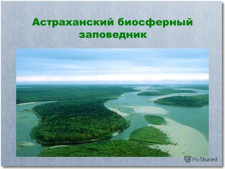 Астраханский биосферный заповедник. Цель презентации: Узнать больше о Астраханком биосферном заповеднике.