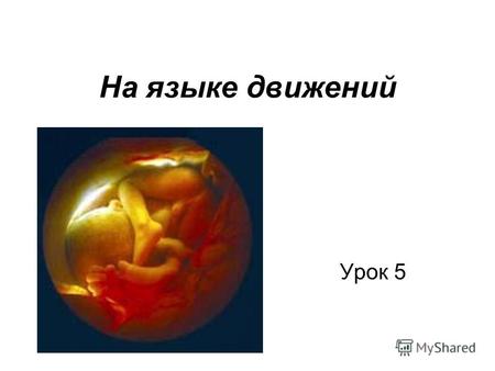 На языке движений Урок 5. В 22–23 дня начинает биться сердце эмбриона и формируется нервная система В 6 недель есть все отделы мозга и начинает функционировать.