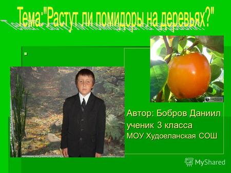 Автор: Бобров Даниил ученик 3 класса МОУ Худоеланская СОШ.