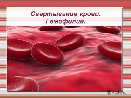 Свертывание крови. Гемофилия.. Свёртывание крови сложный биологический процесс образования в крови нитей белка фибрина, образующих тромбы, в результате.