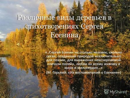 «..Сергей Есенин не столько человек, сколько орган, созданный природой исключительно для поэзии, для выражения неисчерпаемой «печали полей», любви ко всему.