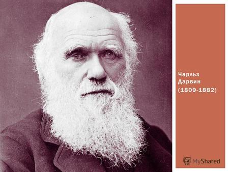 Чарльз Дарвин (1809-1882) ЧАРЛЬЗ ДАРВИН. «Чем больше мы познаем неизменные законы природы, тем все более невероятными становятся для нас чудеса»