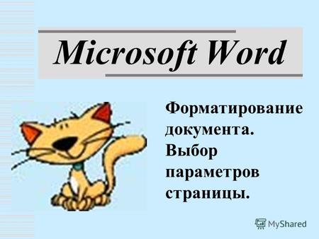 Microsoft Word Форматирование документа. Выбор параметров страницы.