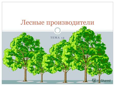 ТЕМА 15 Лесные производители. Вспомни… В каких природных зонах растут деревья? Чем отличаются условия этих природных зон? Что нужно для роста растений?