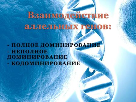 - ПОЛНОЕ ДОМИНИРОВАНИЕ - НЕПОЛНОЕ ДОМИНИРОВАНИЕ - КОДОМИНИРОВАНИЕ Взаимодействие аллельных генов: