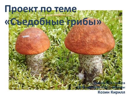 Проект по теме «Съедобные грибы» Ученик 3 «Б» класса ГБОУ школа 2121 г. Москвы Козин Кирилл.
