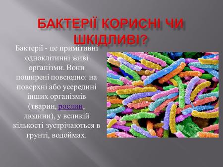 Бактерії - це примітивні одноклітинні живі організми. Вони поширені повсюдно : на поверхні або усередині інших організмів ( тварин, рослин, людини ), у.
