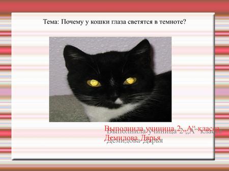 Тема: Почему у кошки глаза светятся в темноте? Выполнила учиница 2 А класса Демидова Дарья Выполнила учиница 2 А класса Демидова Дарья.