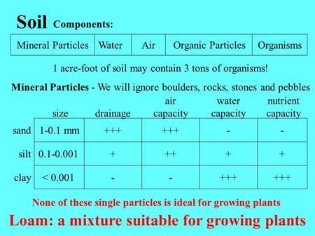 Soil Mineral ParticlesOrganic ParticlesWaterAirOrganisms 1 acre-foot of soil may contain 3 tons of organisms! Mineral Particles - We will ignore boulders,